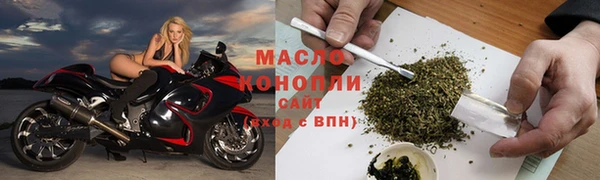 гашик Верея
