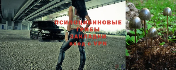 МДПВ Богородицк