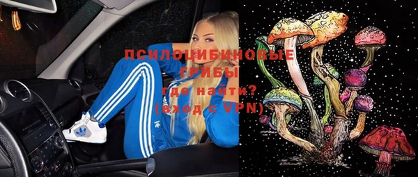 прущие грибы Верхнеуральск