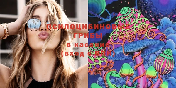 гашик Верея