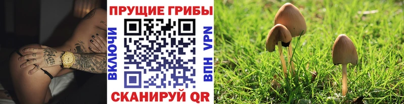 наркошоп  Верхняя Тура  Галлюциногенные грибы мицелий 